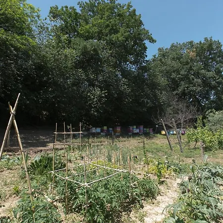 Il Giardino Degli Incanti 3*