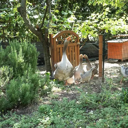 Il Giardino Degli Incanti 3* SantʼElpidio a Mare