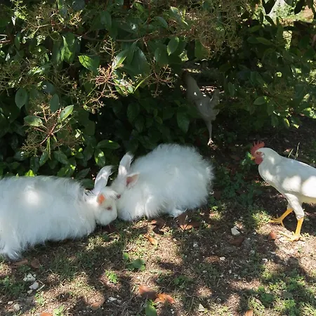 Il Giardino Degli Incanti 3*