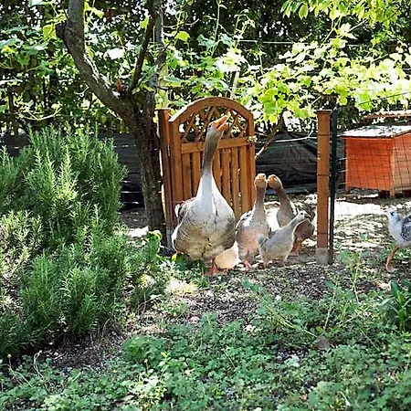 Il Giardino Degli Incanti 3* SantʼElpidio a Mare