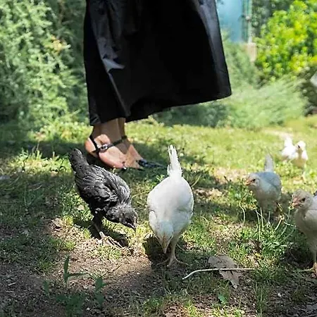 Il Giardino Degli Incanti Frühstückspension SantʼElpidio a Mare