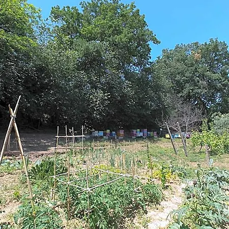 Il Giardino Degli Incanti Frühstückspension