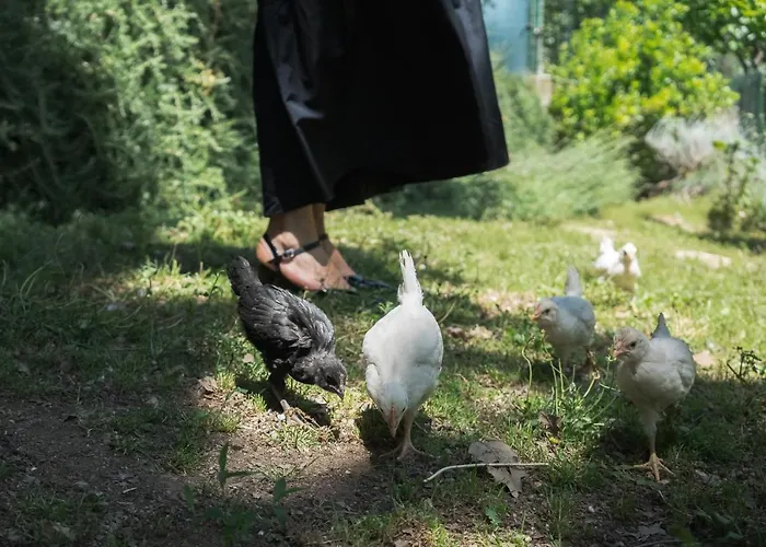 Il Giardino Degli Incanti