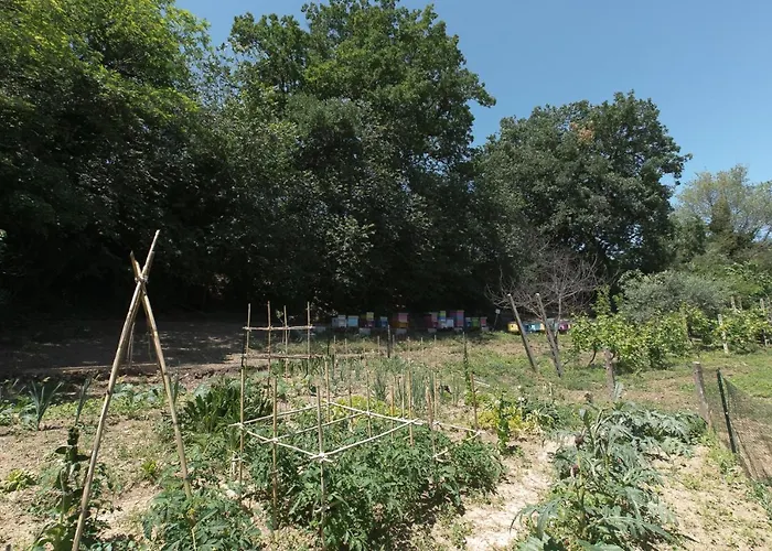 Il Giardino Degli Incanti 3*