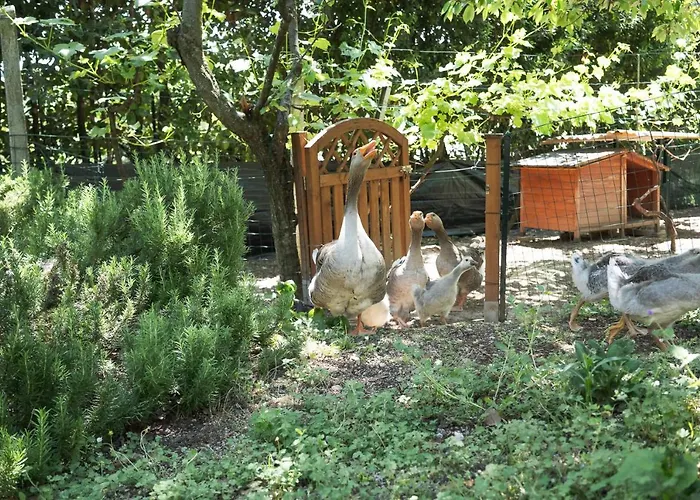 Il Giardino Degli Incanti 3* SantʼElpidio a Mare