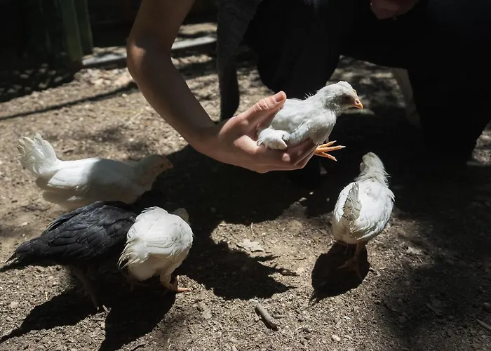 Il Giardino Degli Incanti SantʼElpidio a Mare