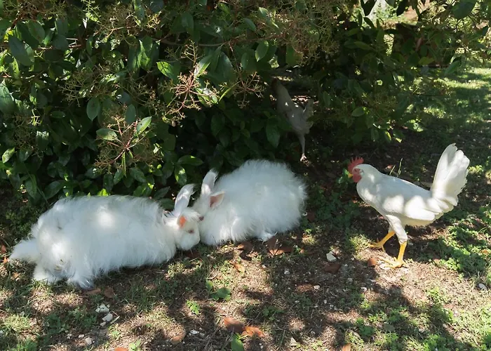 Il Giardino Degli Incanti 3*