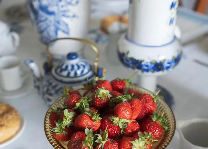 Il Giardino Degli Incanti Bed & Breakfast SantʼElpidio a Mare