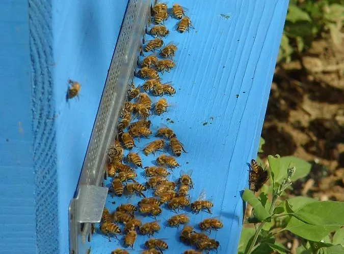 Il Giardino Degli Incanti Bed & Breakfast